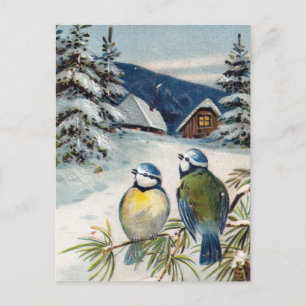 Het vintage Briefkaart van de Winter met Vogels
