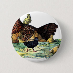 Het Vintage Dier van kippen Ronde Button 5,7 Cm