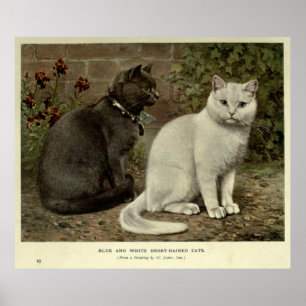 Het vintage Grijze & Witte Kortharige Schilderen Poster