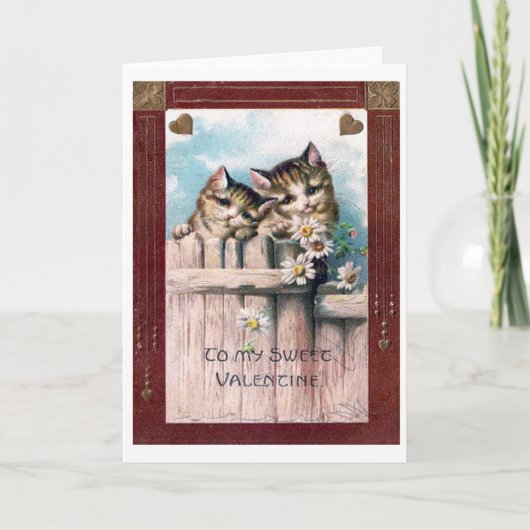 Het vintage ouderwetse Briefkaart van de (Voorkant)