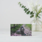 Het Visitekaartje van de Kweker van de poedel (Staand voorkant)