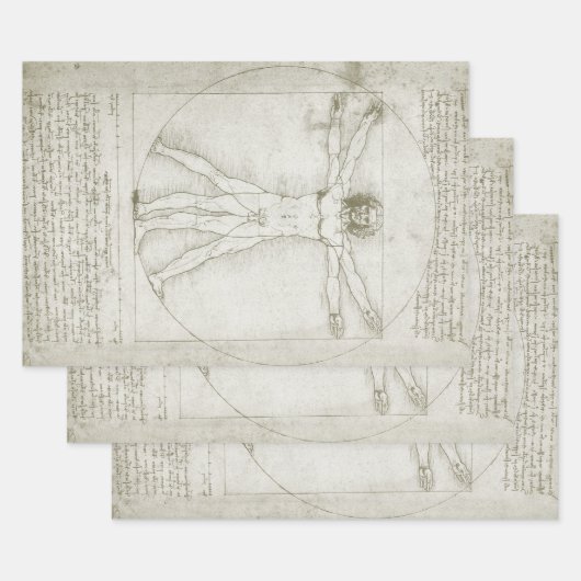 Het Vitruviaanse Man van Leonardo da Vinci Inpakpapier Vel (Set)