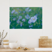 Het vlasvet poster (Keuken)