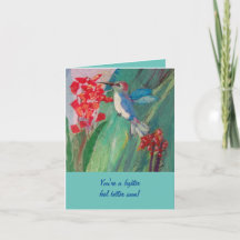 Het Voeden van de kolibrie op nectar