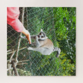 Het voeden van een lemur legpuzzel (Horizontaal)
