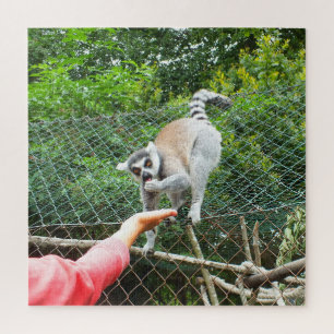 Het voeden van een lemur legpuzzel