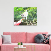 Het voeden van een ringstaartlemur canvas afdruk (Insitu (Woonkamer))