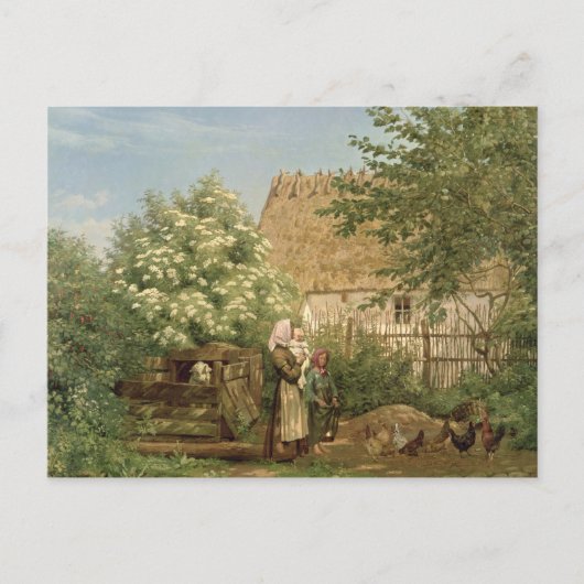 Het voederen van kippen briefkaart (Voorkant)