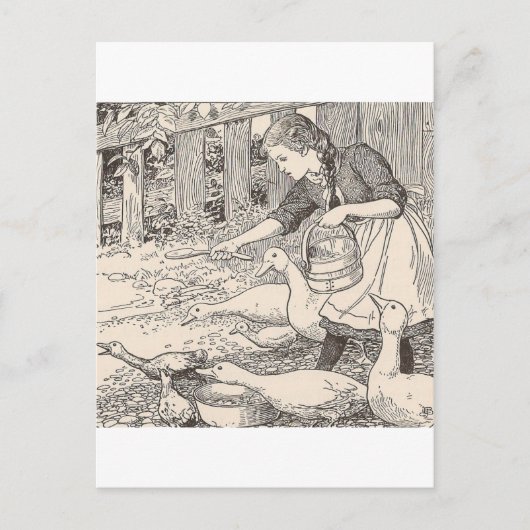 Het voeren van eenden briefkaart (Voorkant)