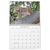 Het vogelkalender- en wildkalender in Villages Kalender (Jan 2027)