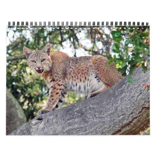 Het vogelkalender- en wildkalender in Villages Kalender (Hoes)