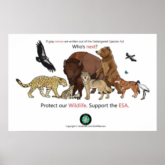 Het volgende Poster (Voorkant)