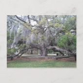 Het vriendschap Oak 2 Briefkaart (Voorkant)