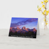 Het vroege Nationale Park van Grand Teton van de Kaart (Gele Bloem)