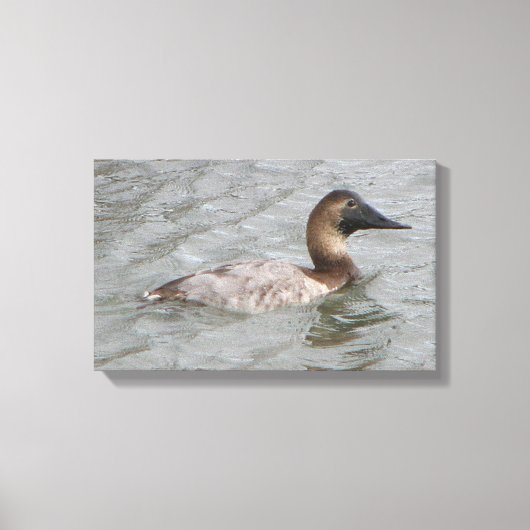 Het Vrouw Canvasback een grote duikeend Canvas Afdruk (Voorkant)