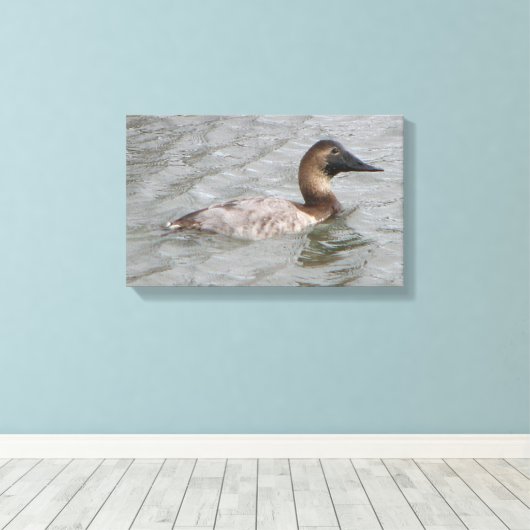 Het Vrouw Canvasback een grote duikeend Canvas Afdruk (Insitu (Houten vloer))