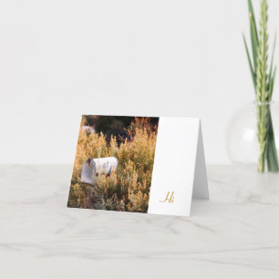 Het wachten op de post kaart