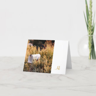 Het wachten op de post kaart