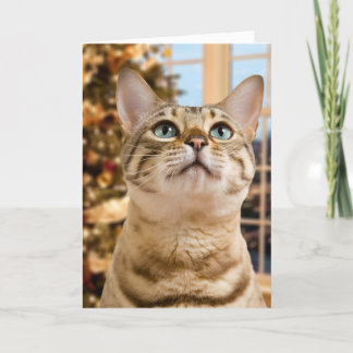 Het wachten op Kerstman Feestdagen Kaart