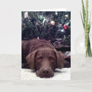 Het wachten op Kerstman Feestdagen Kaart