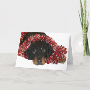 Het wachten op Kerstman Feestdagen Kaart