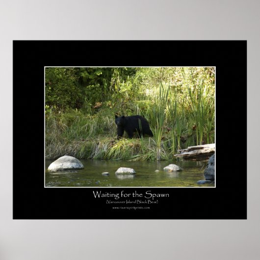 HET WACHTEN VOOR DE SPAWN Fotodruk Poster (Voorkant)