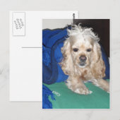 Het was een harde nacht briefkaart (Voorkant / Achterkant)