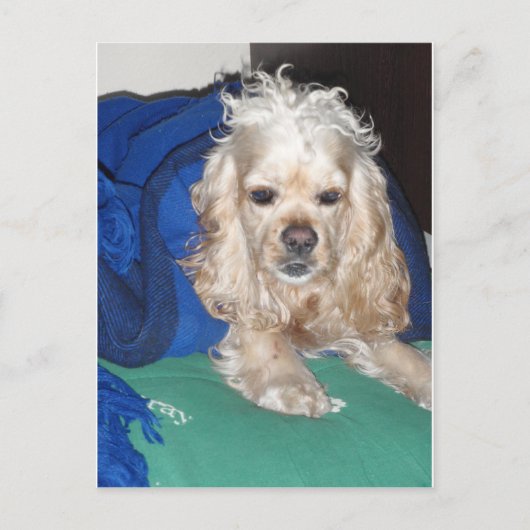 Het was een harde nacht briefkaart (Voorkant)