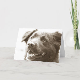 Het was groot ziend u! bedankkaart