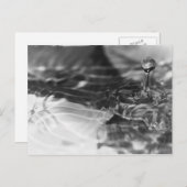 Het  water briefkaart (Voorkant / Achterkant)