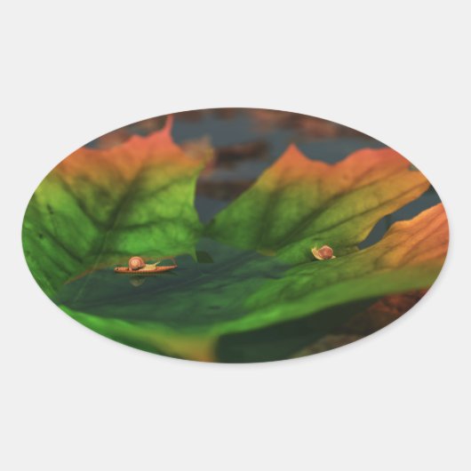 Het water is brede Sticker (Voorkant)