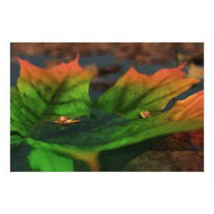 Het water is een brede foto afdruk