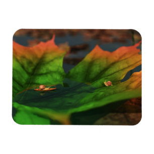 Het water is een breed flexibel magneet