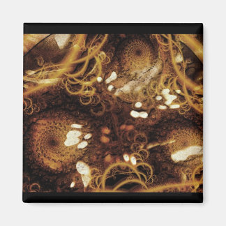 Het weer in Jackolantern Magneet