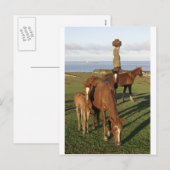 Het weiden van het paard in het Eiland van Pasen Feestdagenkaart (Voorkant / Achterkant)