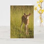 Het Wenskaart Nr 5 van Fawn Kaart (Gele Bloem)