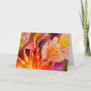 Het Wenskaart van Alstroemeria Kaart
