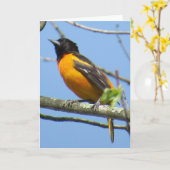 Het Wenskaart van Baltimore Oriole Kaart (Gele Bloem)