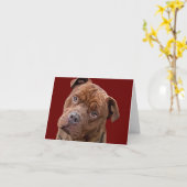 Het Wenskaart van "Benz" van Pitbull Kaart (Gele Bloem)