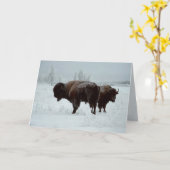 Het wenskaart van buffels kaart (Gele Bloem)