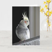 Het Wenskaart van Cockatiel Kaart (Gele Bloem)