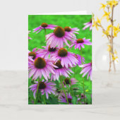 Het Wenskaart van Coneflower Kaart (Gele Bloem)