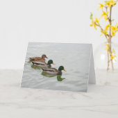 Het wenskaart van de de eenddruk van de wilde eend kaart (Gele Bloem)