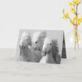 Het Wenskaart van de drie witte paarden Kaart (Gele Bloem)