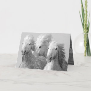 Het Wenskaart van de drie witte paarden Kaart