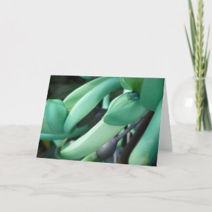 Het Wenskaart van de Droom van de jade Kaart