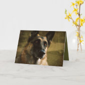 Het Wenskaart van de Duitse herder Kaart (Gele Bloem)