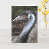 Het Wenskaart van de emoe Kaart (Gele Bloem)