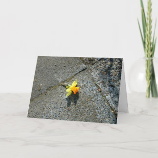Het Wenskaart van de gele narcis Kaart