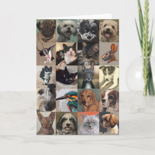 Het Wenskaart van de hond en van de Kat Kaart